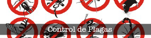 Boton_sub_tam_plagas-01